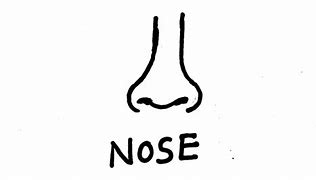 Image result for Nose Drawing Kids