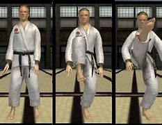 Image result for Front Kick by Mea Geri