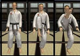 Image result for Front Kick by Mea Geri