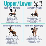 Image result for Body Part Split Workout