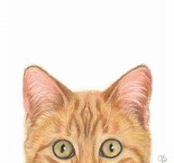 Image result for Orange Tabby Cat Drawing