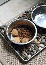 Image result for Raw Dog Food Recipes