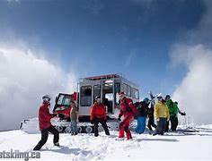 Image result for A Cat Go Skiing