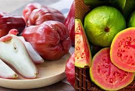 Image result for Jambu Klutuk