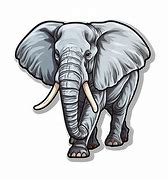 Image result for Baby Elephant Tusks