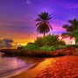 Image result for Tropical Beach 4K