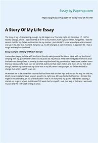 Image result for My Life Essay Examples