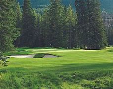 Image result for Wildlife On Banff Golf Course