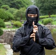 Image result for Real Ninja Japan