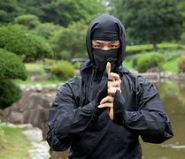 Image result for Ninja Korea