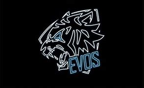 Image result for Evos Ml