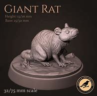 Image result for 3D Rat Printable