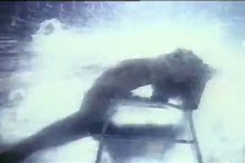 Image result for Flashdance Water Scene