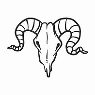 Image result for Buffalo Head Skull Vector PNG