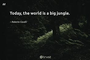 Image result for Jungle Birthday Quotes