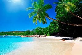 Image result for Most Beautiful Beach Costa Rica