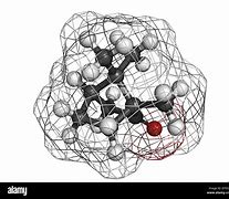 Image result for Camphor Chemical Structure