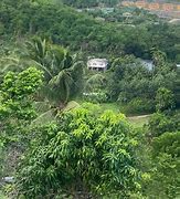 Image result for St. David Grenada