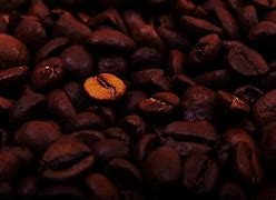 Image result for Foggle Dark Coffee Beans