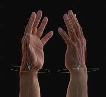 Image result for Body Rigging CG