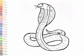 Image result for Cobra Snake Pattern