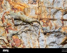 Image result for Red Marble Rock