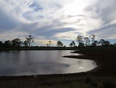 Image result for Farmers Dam