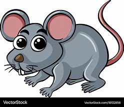 Image result for White Rat Meme