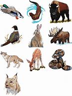 Image result for Free Wilderness Animals for Machine Embroidery