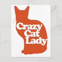 Image result for Crazy Cat Lady Stuff