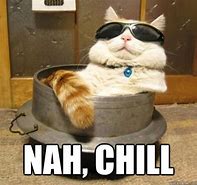 Image result for Chill Meme