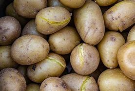 Image result for Plain Baked Potato