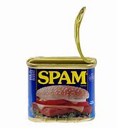 Image result for Antique Spam Can