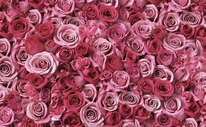 Image result for Roses Bouquet 4K