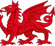 Image result for Welsh Dragon Border