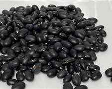 Image result for Black Bean Hydroponics