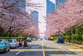 Image result for Korea Fancy Road