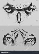 Image result for Draw Animal Eyes