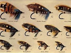 Image result for Best Fly Fishing Flies