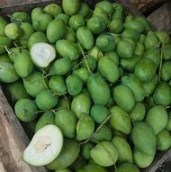 Image result for Mangga Dibelah Belah