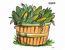 Image result for Bushel of Corn Kernel