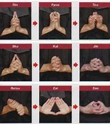 Image result for Togakure Hand Signs