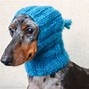 Image result for Dog Hat Sewing Pattern Free