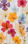 Image result for Flowerr Petal Pattern