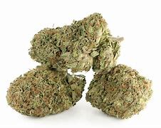 Image result for Tahoe OG Kush