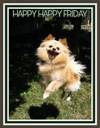 Image result for Happy Friday Cute Animals