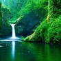 Image result for Peaceful Life Wall Art