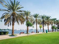 Image result for Sahra Pics with Trees