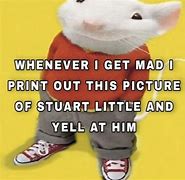 Image result for Stuart Little Meme ES Hoy