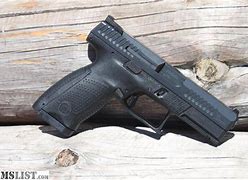 Image result for CZ P10 Sights